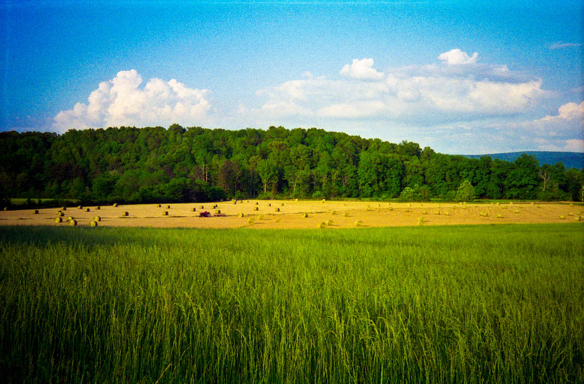 The East Armuchee farm where I grew up, 1996