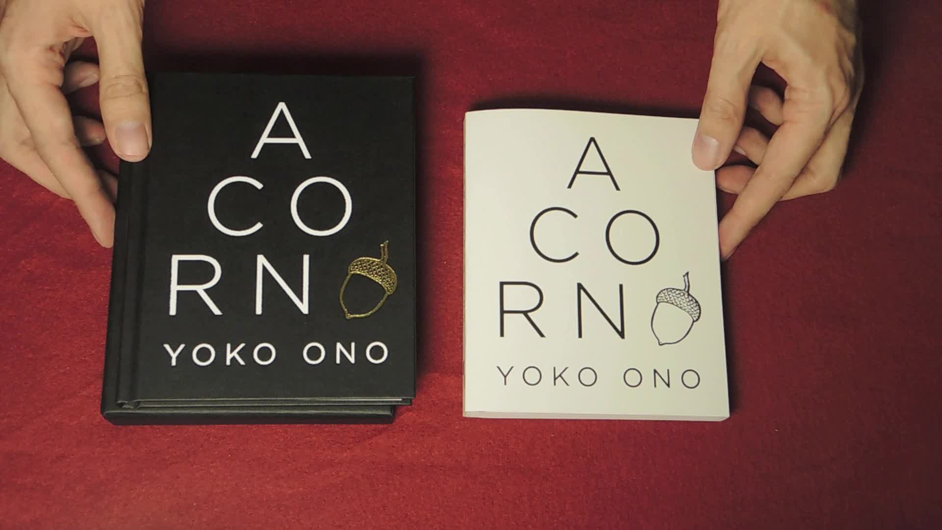 Yoko Ono Acorn: Open My Box — bd-studios.com