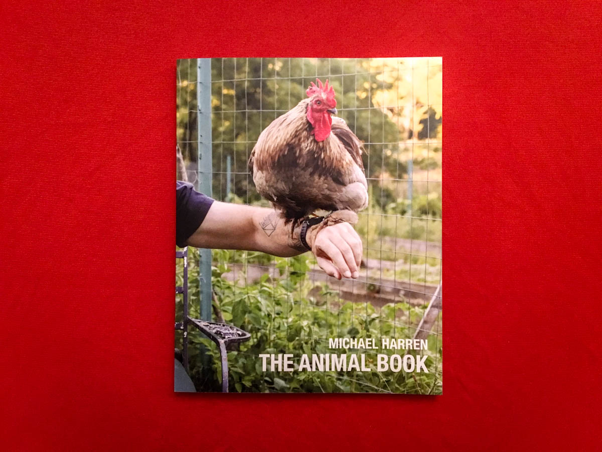 Cover of The Animal Book by Michael Harren. The cover features a photo of a chicken perched on a person's arm in front of a wire fence. The title and author's name are written in white text at the bottom right corner.