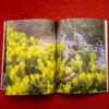 Photo of "Here Nor There" book by Sam Rosenthal
