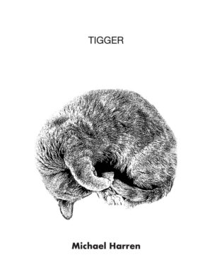 Tigger by Michael Harren