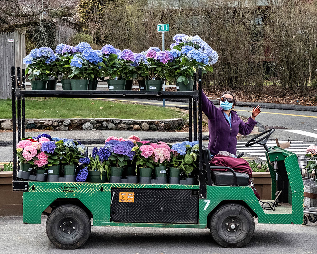 Shopper At Wilsons Farms, Lexington, MA April 2020