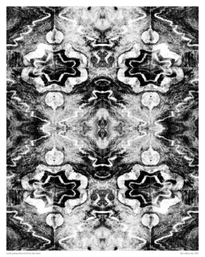 photo of an abstract print by luke kurtis