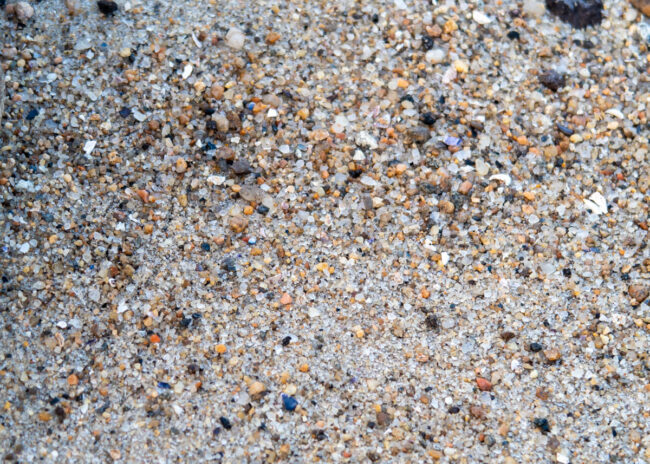 small pebbles and bits of shell on the beach