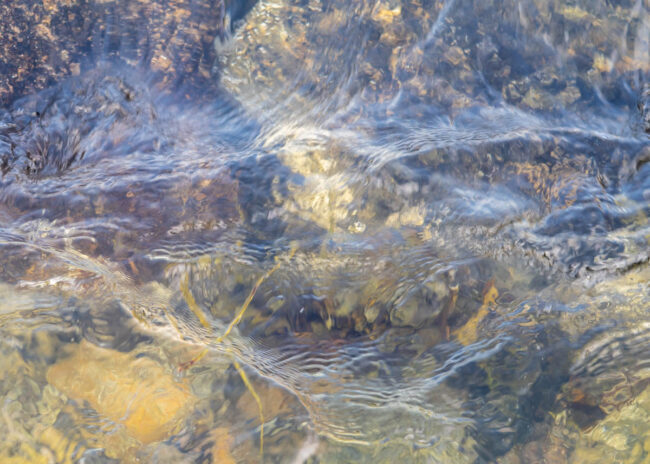 abstract watery surace