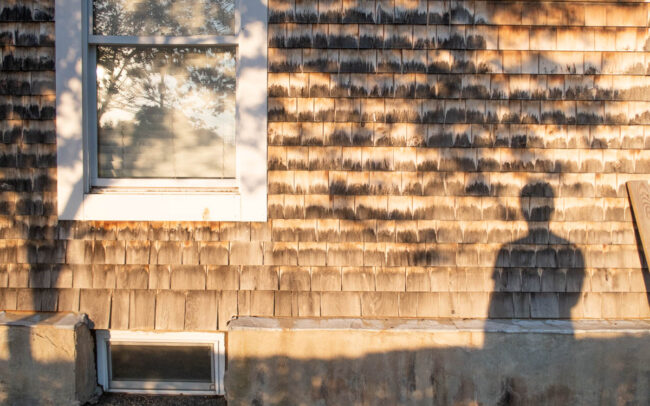 shadow of a tree and a person on the side of a house