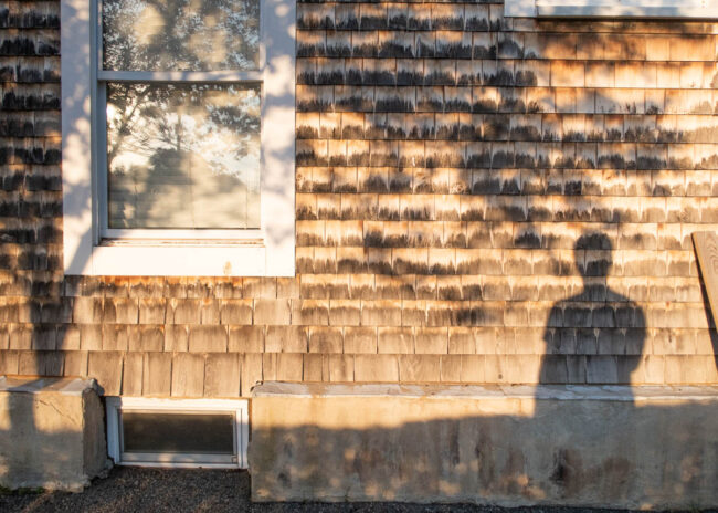 shadow of a tree and a person on the side of a house
