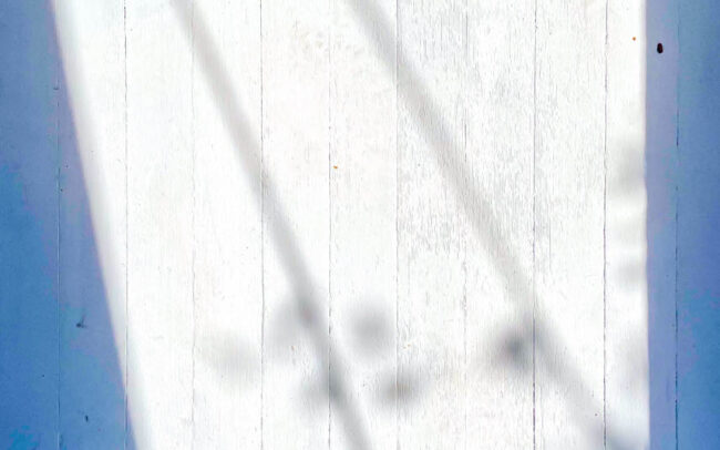 plant-like shadows against a worn wooden floor