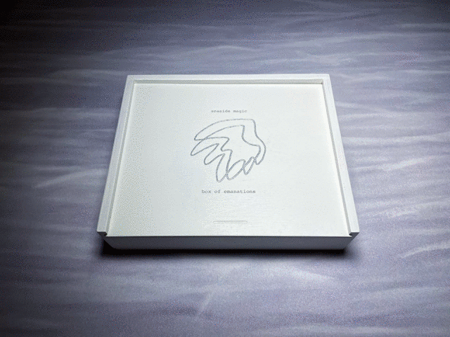 An artist's portfolio in the form of a white wooden box containing seashells, a crystal, a zine, and 19 mounted photographs