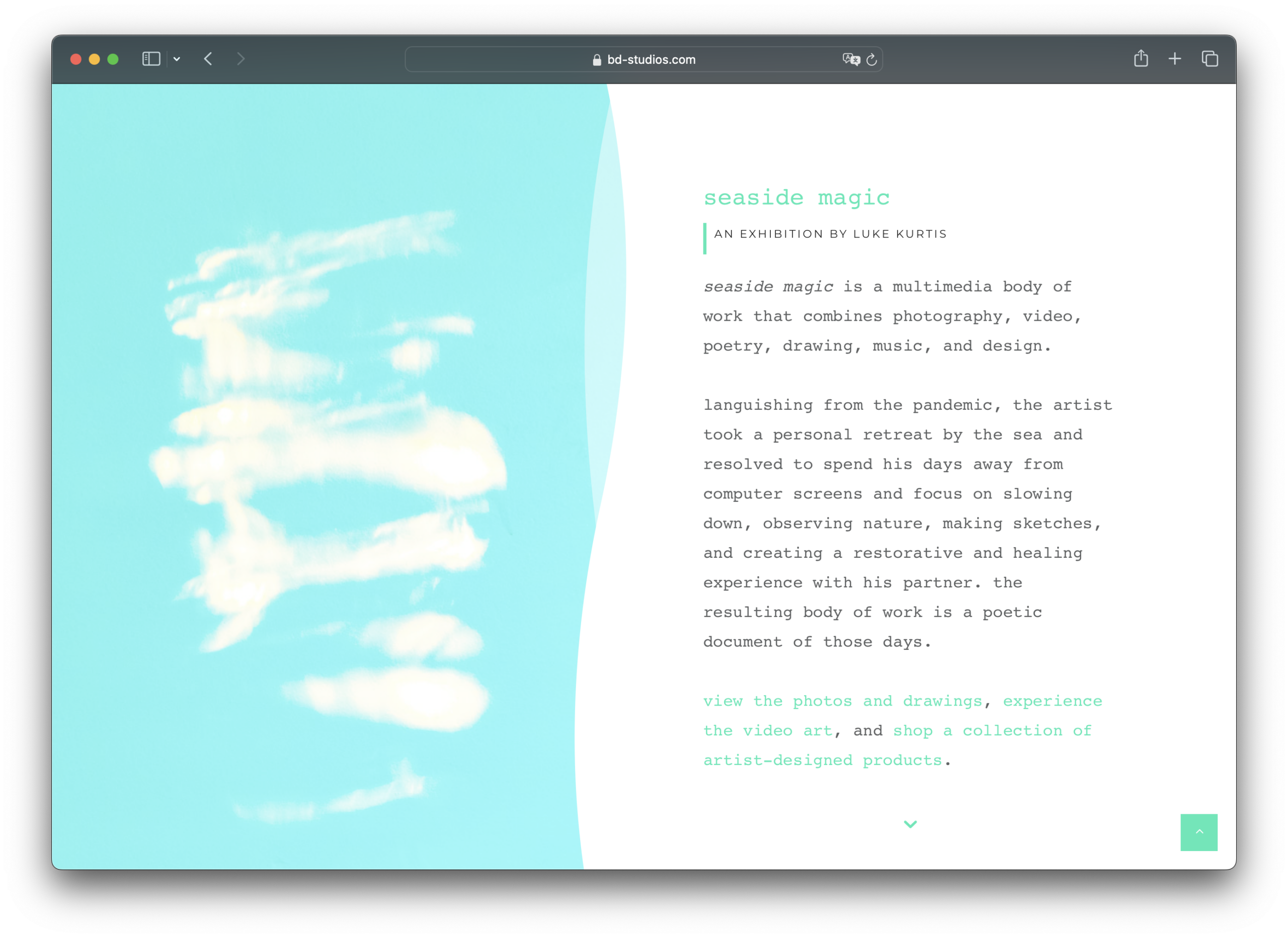 Screenshot of the online exhibition 