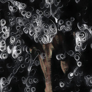 album cover for the immeasurable fold by luke kurtis