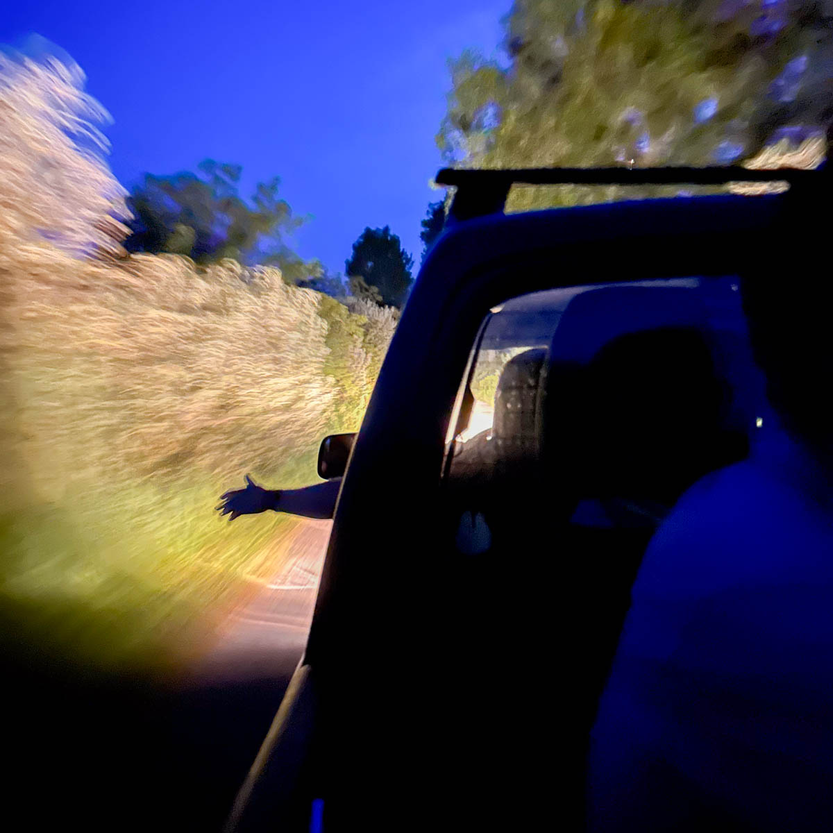 A blurred photo taken from a moving car at dusk shows someone reaching their arm out of the window toward tall plants, with trees and a blue sky in the background. The scene feels vibrant and slightly dreamy.