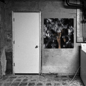 Black-and-white basement interior with a white door beside a poster of the original ‘a harras’ album cover, whose subtle color contrasts with the otherwise monochrome image.