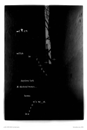 > Art print titled "wiTch (1999/2001)" by luke kurtis featuring a very dark, black-and-white photograph of a narrow alleyway with sparse trees at the end, overlaid with a visual poem spelled out in scattered white lowercase letters that reads: "wiTch in flight. daytime lark & skeletal bones... home. in a crow's ne_st."